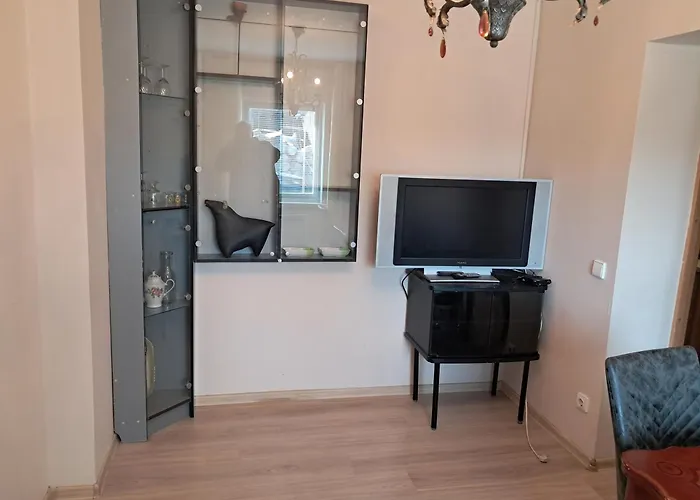 3min Walk To Business Center * ヴィリニュス