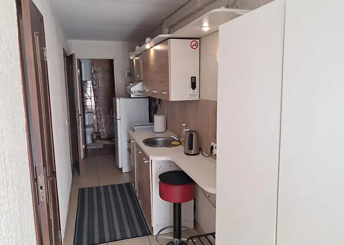 3min Walk To Business Center アパート ヴィリニュス